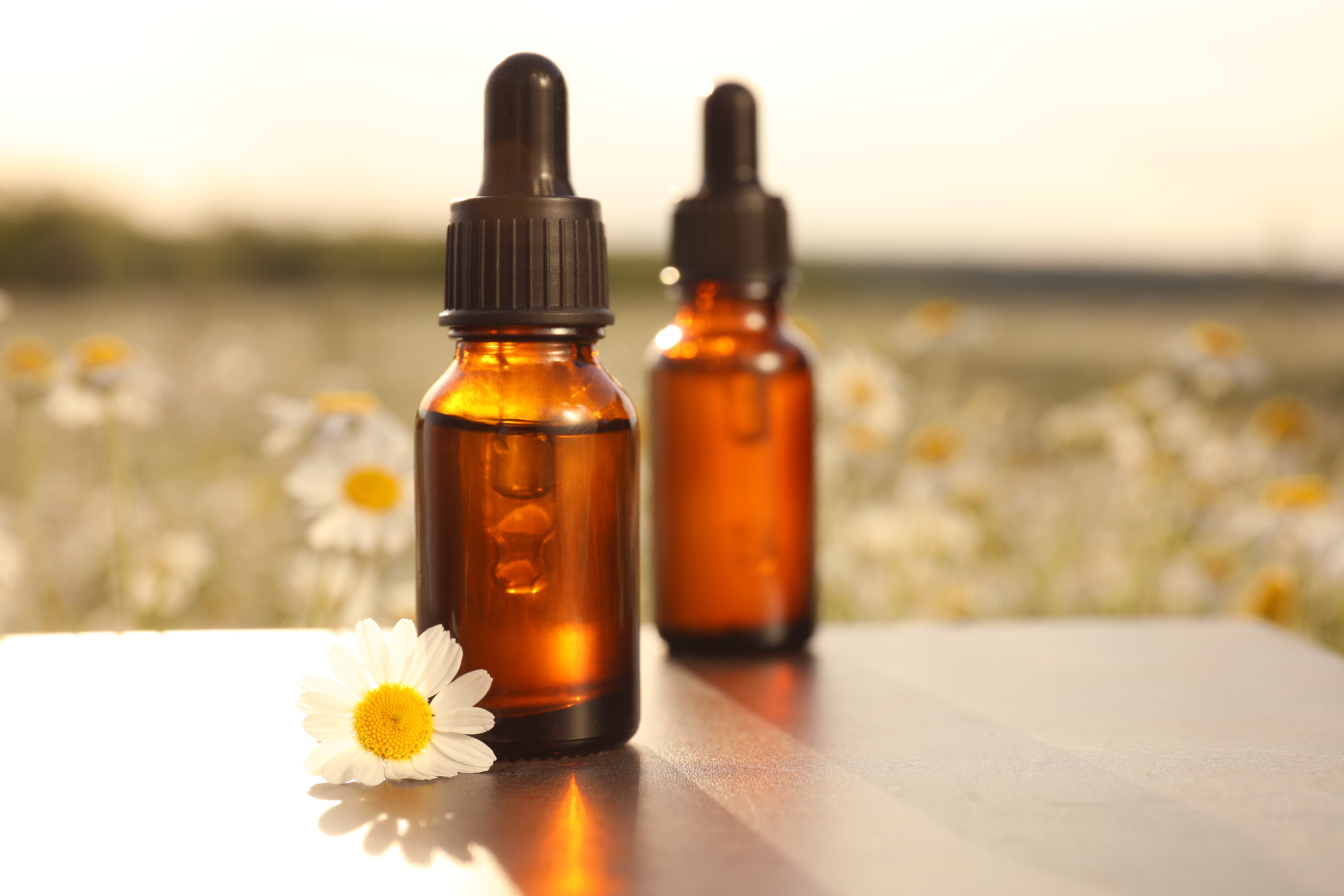 Bottles of Chamomile Essential Oil on Table in Field. Space for
